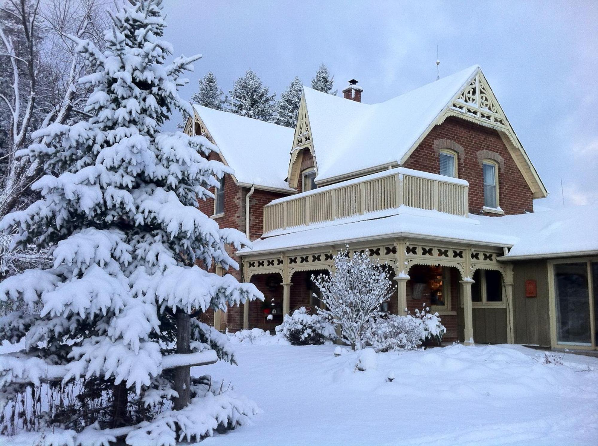 Foxingham Farm Bed & Breakfast Mulmur Exterior photo