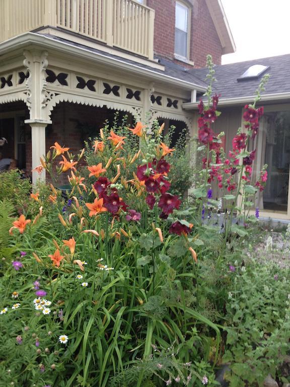 Foxingham Farm Bed & Breakfast Mulmur Exterior photo