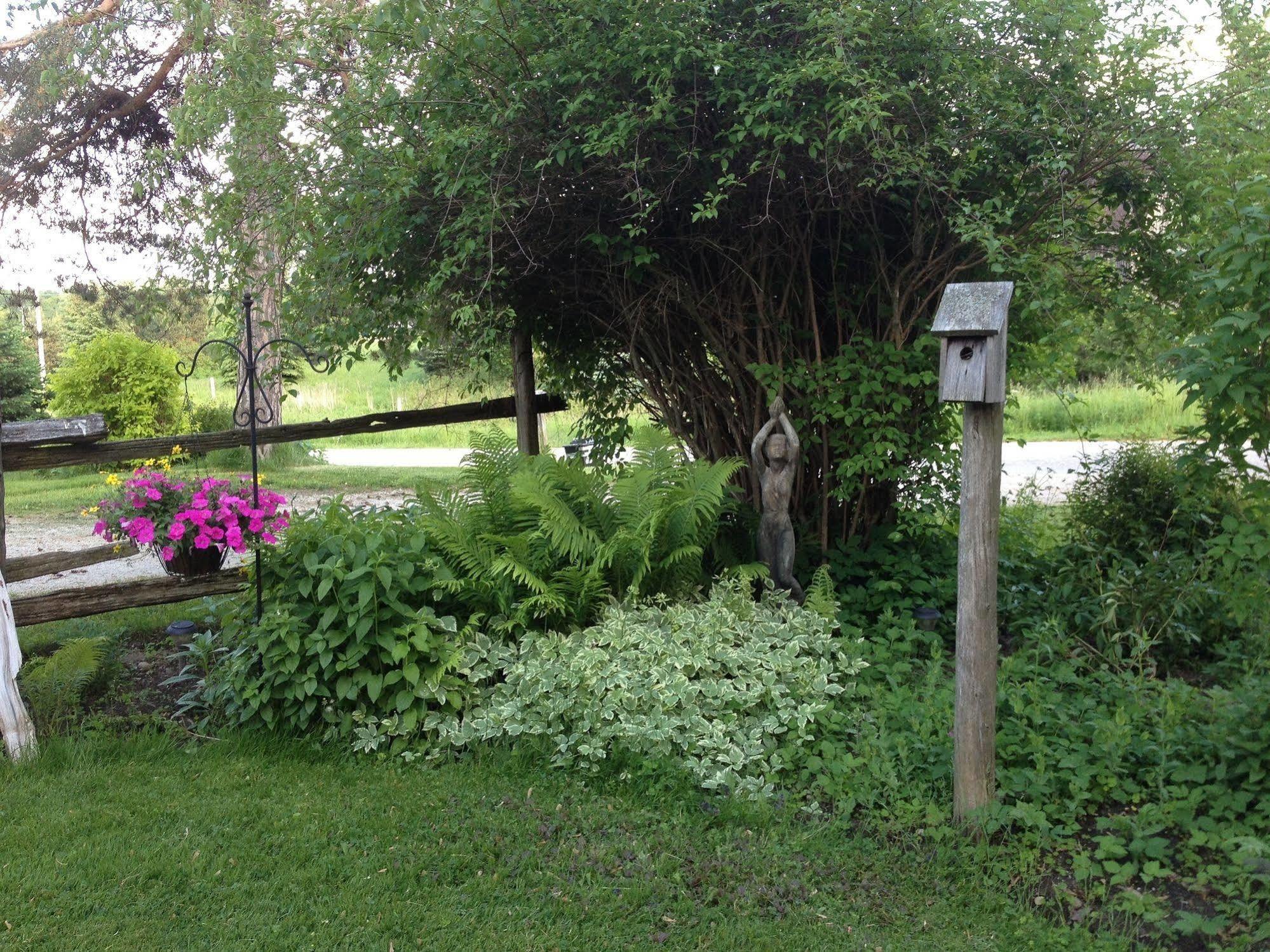 Foxingham Farm Bed & Breakfast Mulmur Exterior photo
