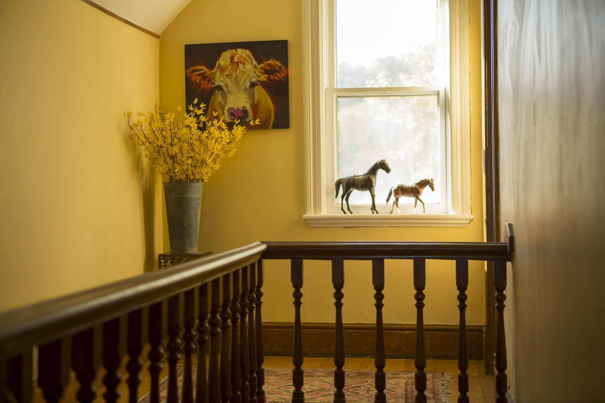 Foxingham Farm Bed & Breakfast Mulmur Exterior photo