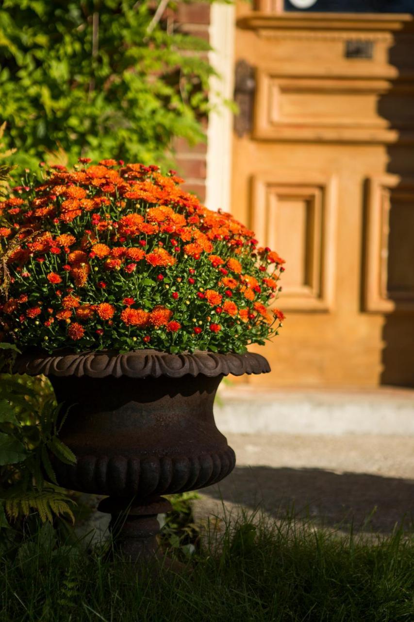 Foxingham Farm Bed & Breakfast Mulmur Exterior photo